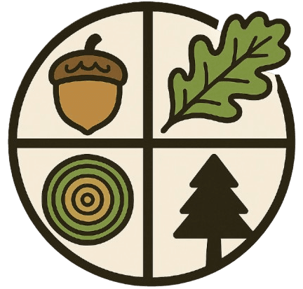 P2: Viața în inele - Tainele copacilor