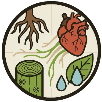 P3: Drumul sevei și al sângelui